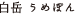 ��� ����ݤ�