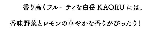 香り高くフルーティな白岳KAORUには、香味野菜とレモンの華やかな香りがぴったり！