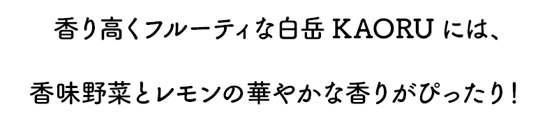 香り高くフルーティな白岳KAORUには、香味野菜とレモンの華やかな香りがぴったり！